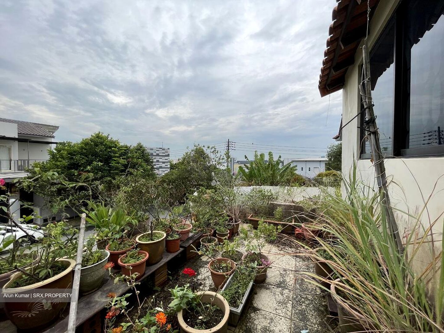 Upper Changi Road North (D17), Semi-Detached #495579001